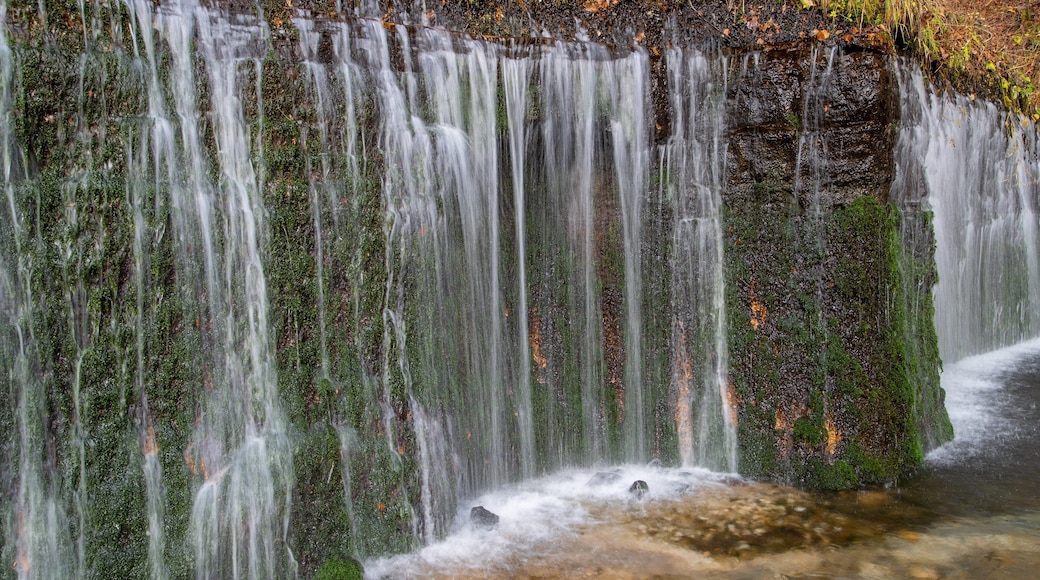 Shiraito Falls featuring a waterfall