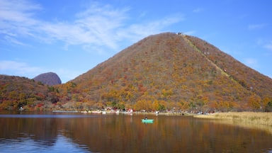 高崎市