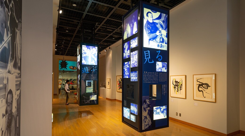 Taro Okamoto Museum of Art showing art and interior views