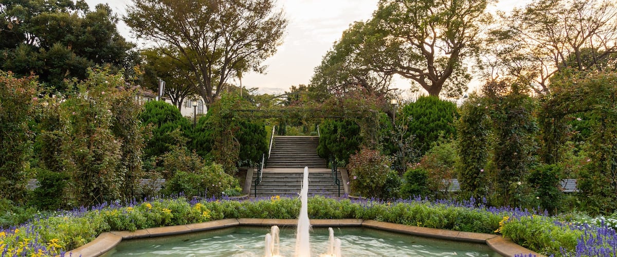 Harbor View Park which includes flowers, a garden and a fountain