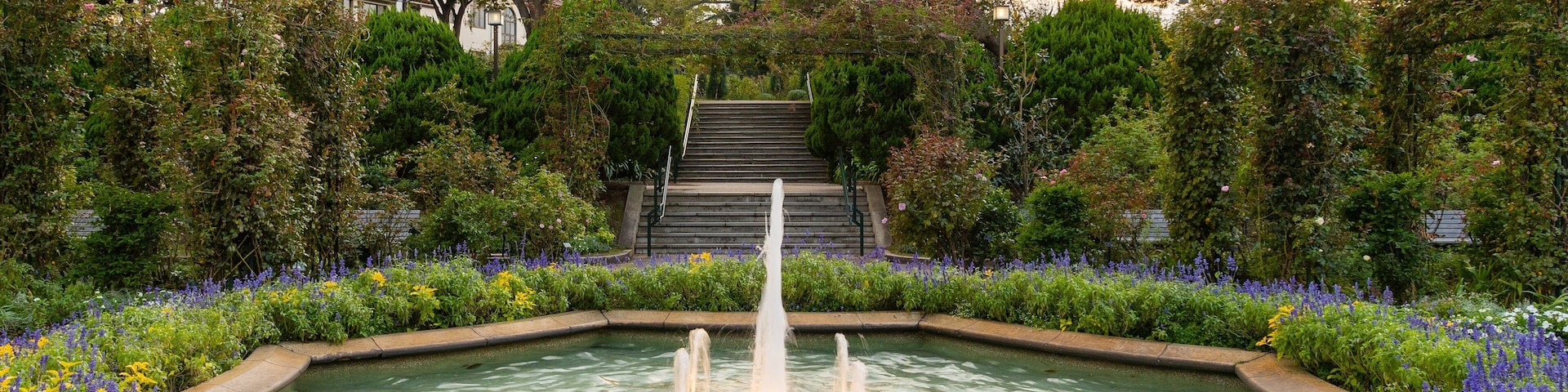 Harbor View Park which includes flowers, a garden and a fountain