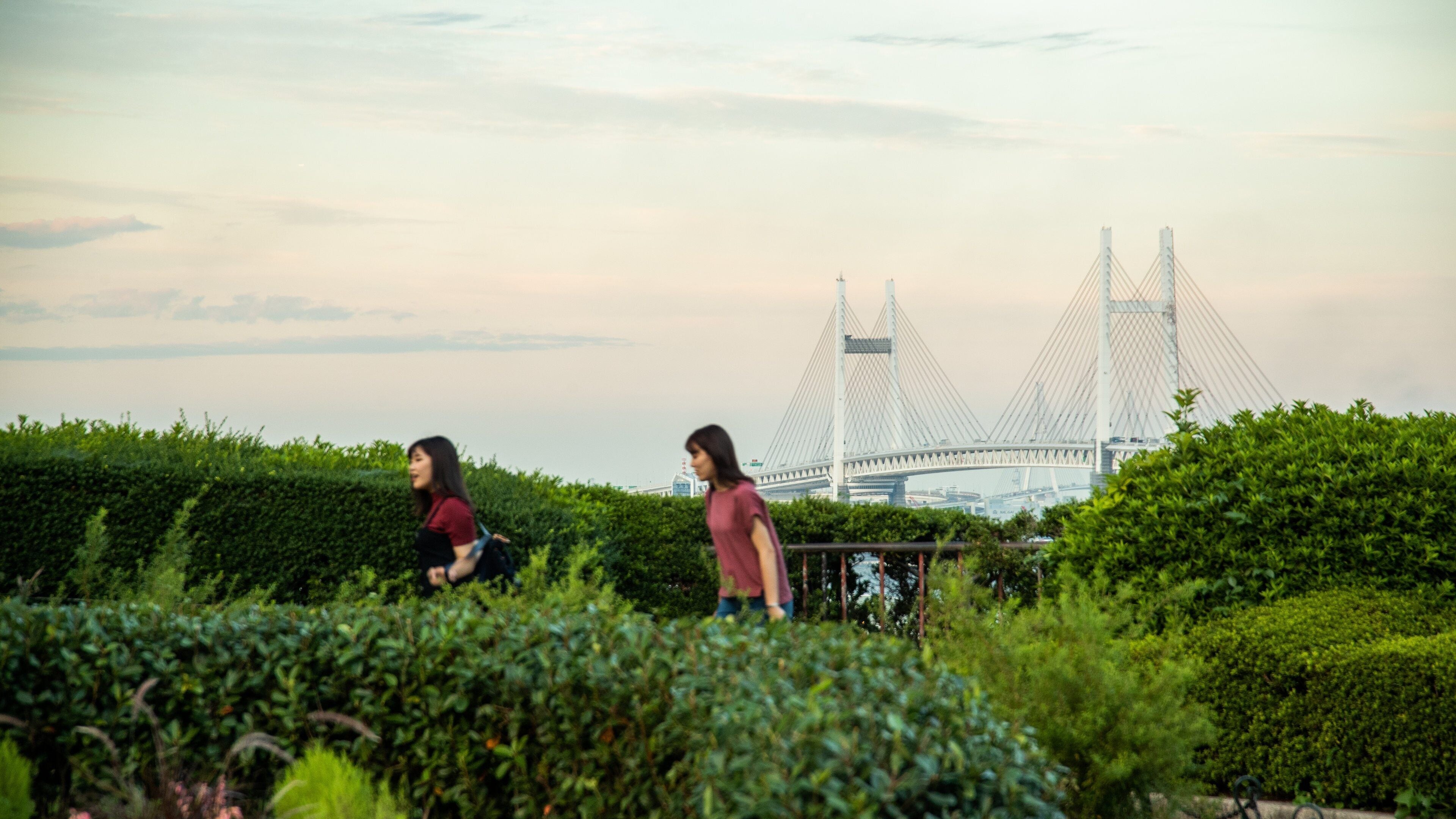 Harbor View Park which includes a sunset, a bridge and a garden