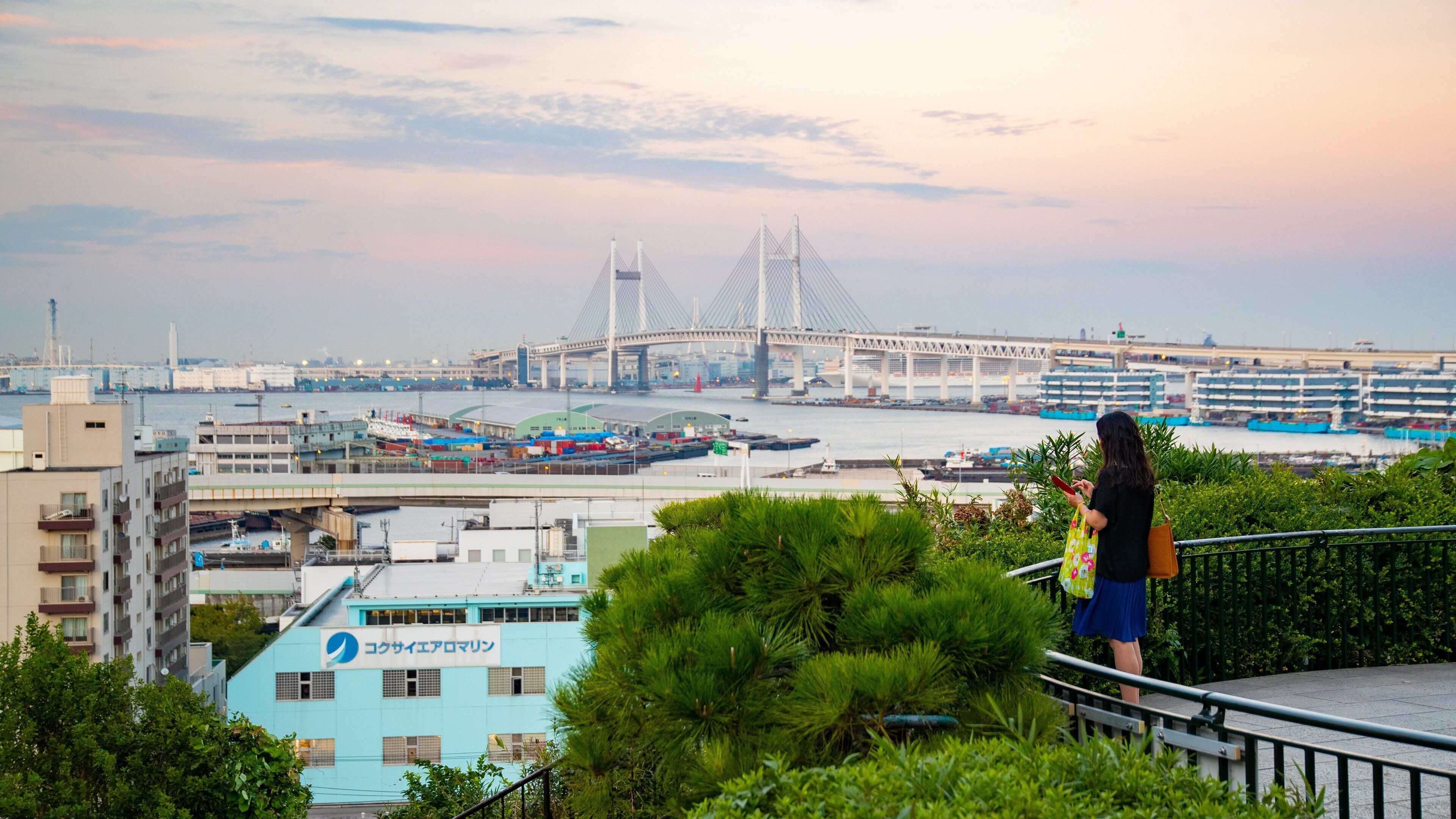 Harbor View Park showing a marina, a bridge and views