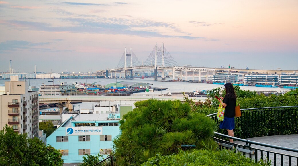 Harbor View Park showing a marina, a bridge and views