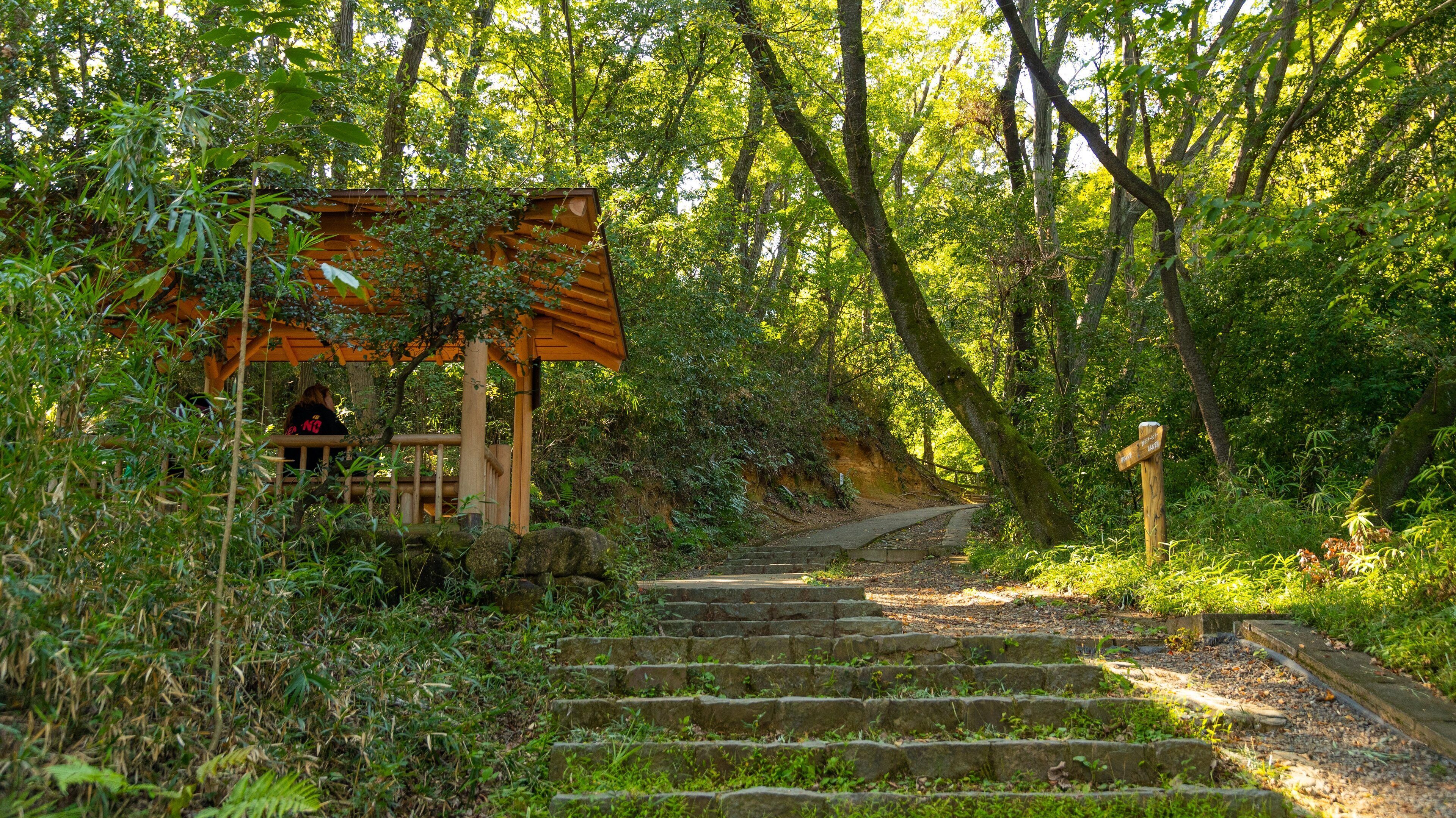 Ikuta Park which includes a park