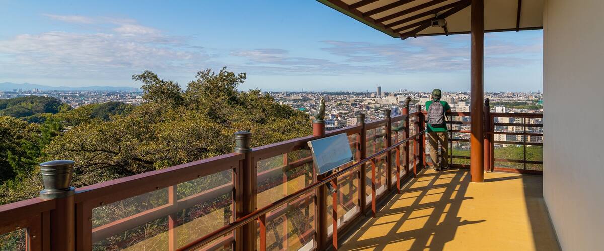 Ikuta Park showing views as well as an individual male