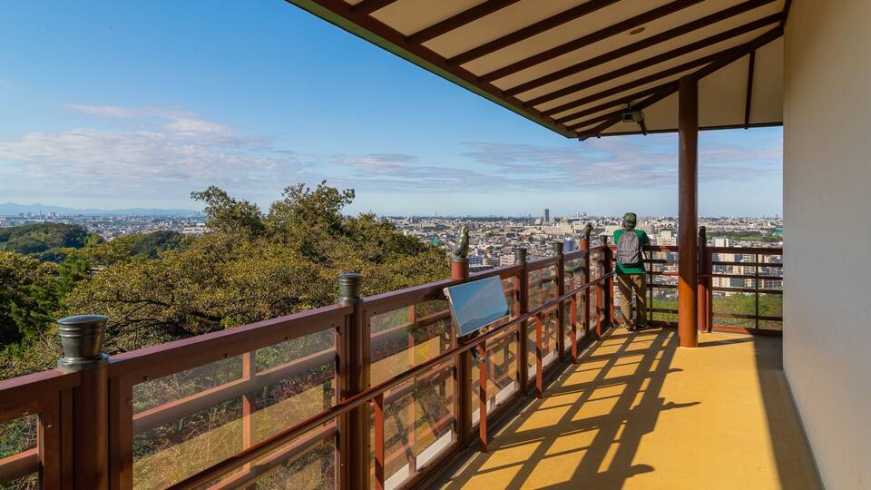 Ikuta Park showing views as well as an individual male