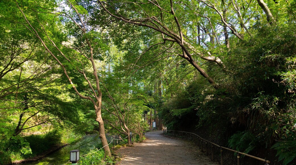 Ikuta Park showing a garden
