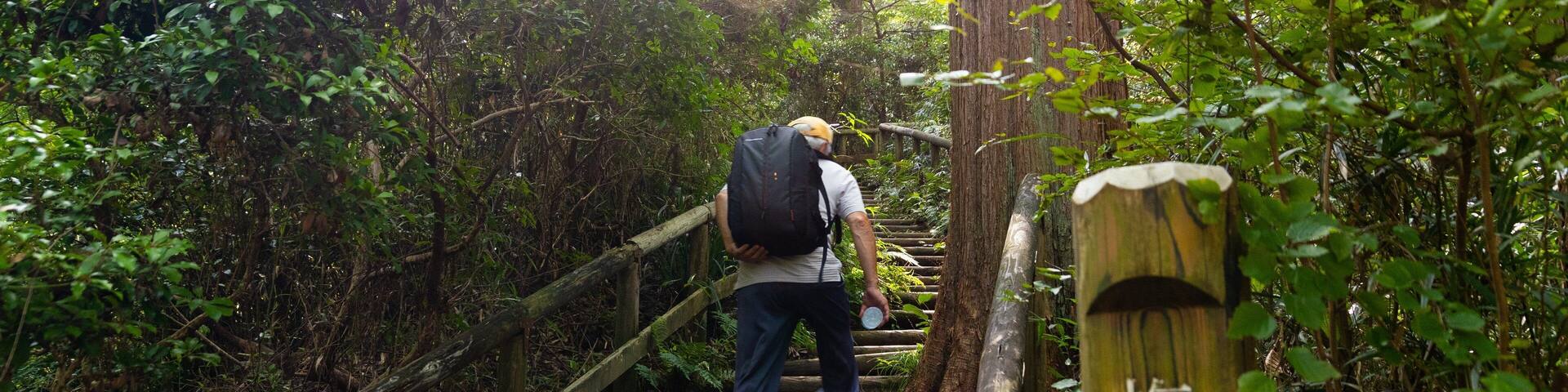 A hiker ascending a wooden staircase surrounded by dense greenery and trees.