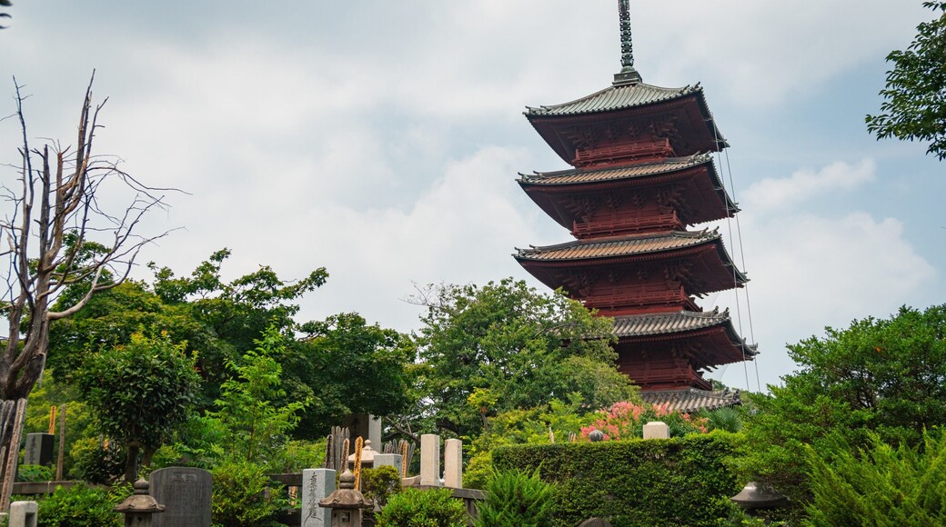 Ikegami Honmonji Temple which includes a temple or place of worship and heritage architecture