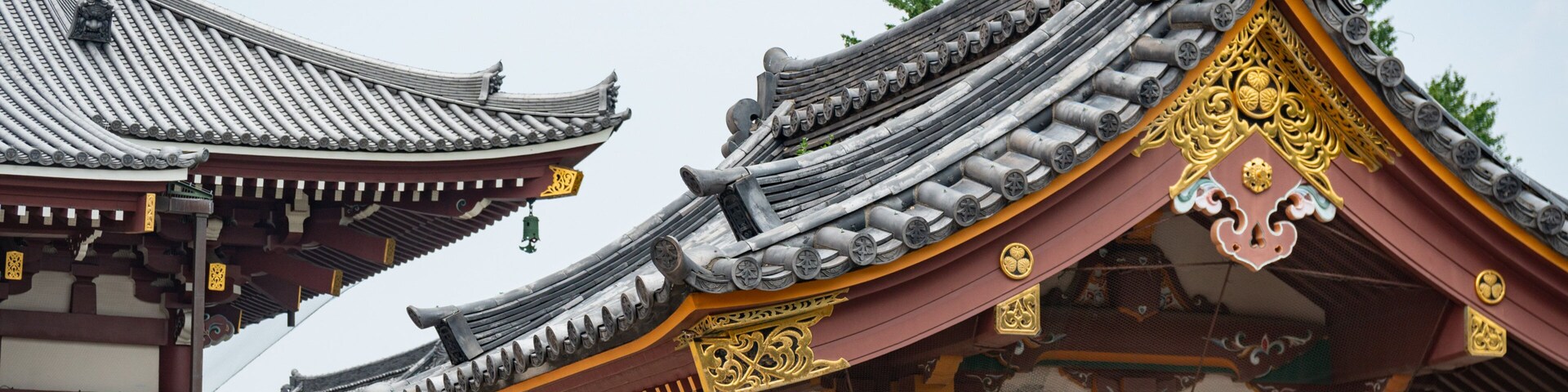 Ikegami Honmonji Temple showing heritage elements and a temple or place of worship