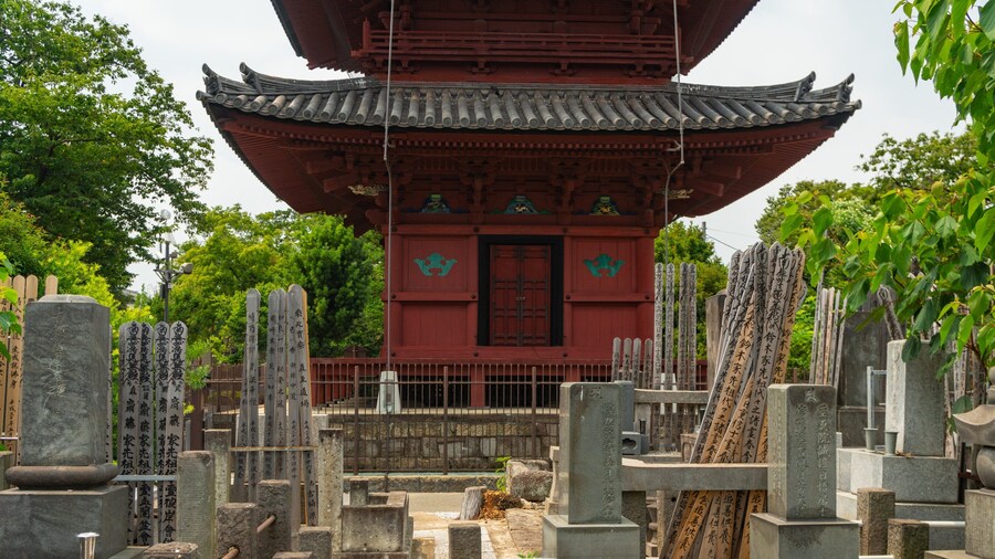 Ikegami Honmonji Temple showing a temple or place of worship and heritage elements