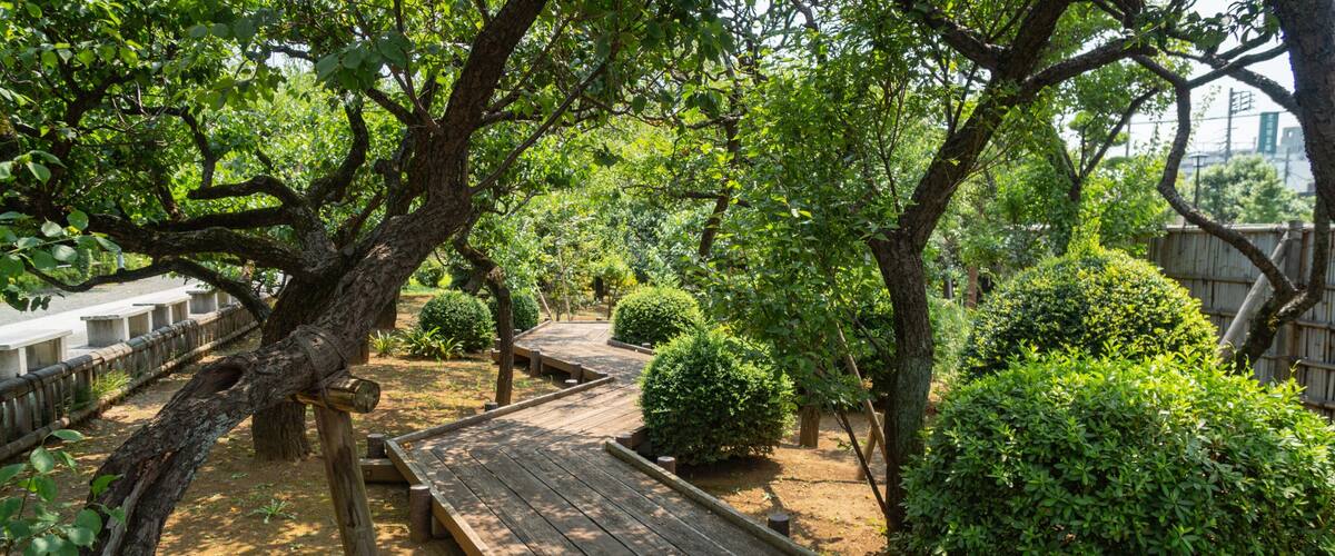 Ikegami Baien Plum Tree Garden featuring a garden