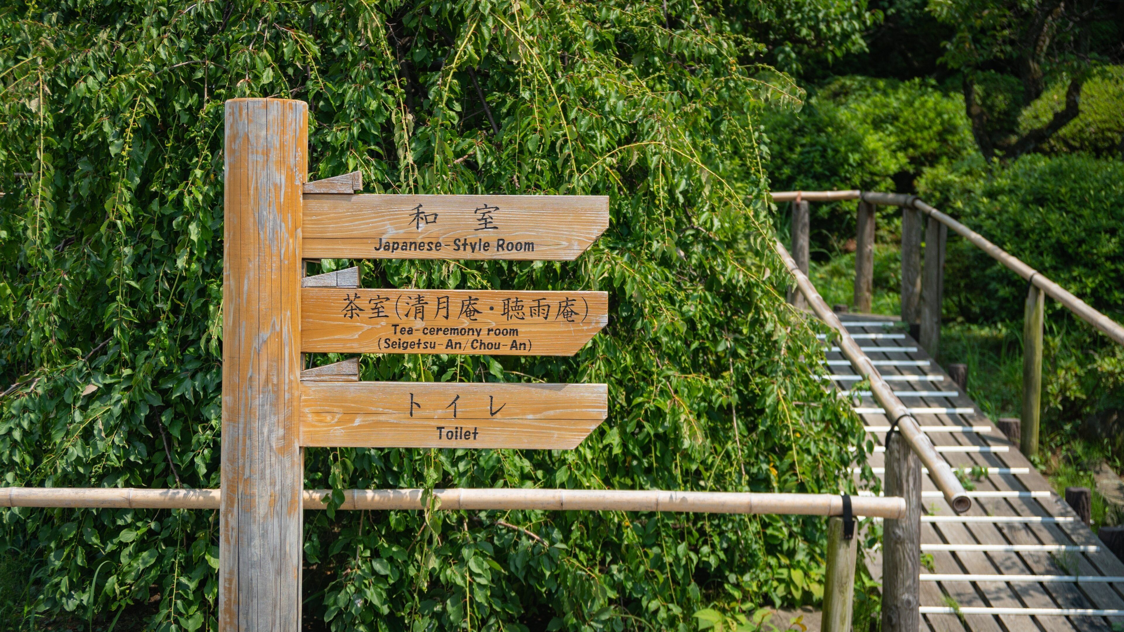 Ikegami Baien Plum Tree Garden