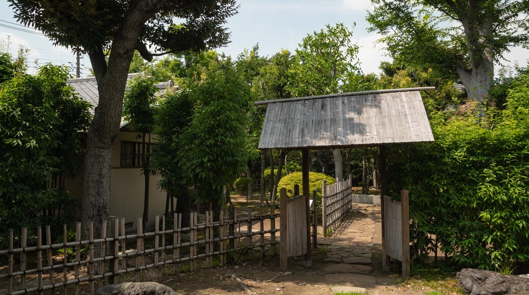 Ikegami Baien Plum Tree Garden