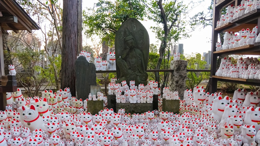 世田谷 豪徳寺 招き猫