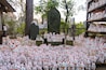 世田谷 豪徳寺 招き猫