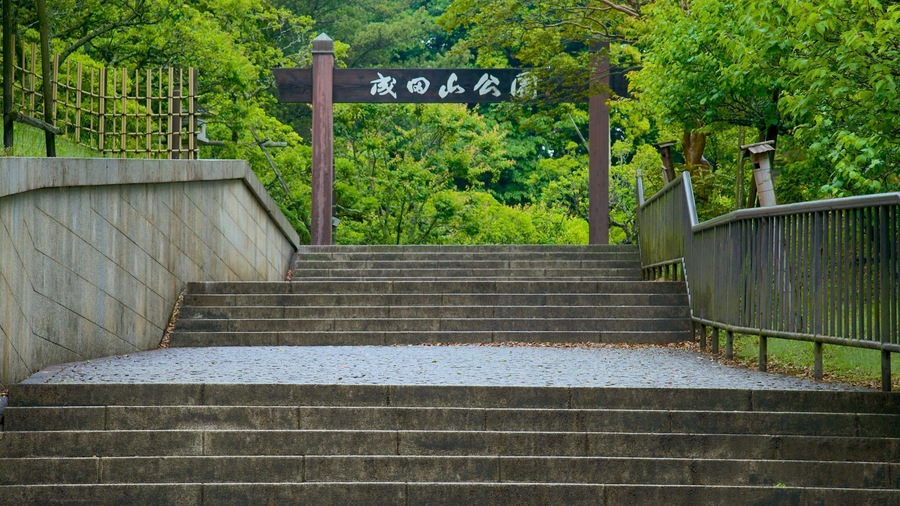St Maarten and St Martin showing a park and signage