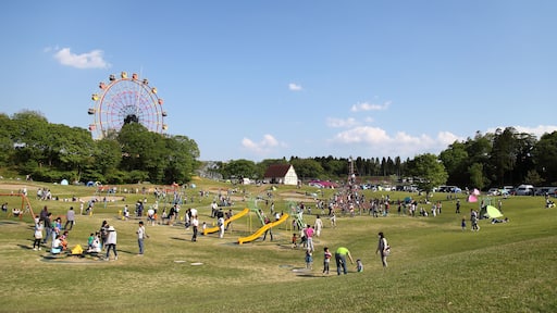 Country Farm Tokyo German Village is a Theme Park. Great spot for spending time with family in nature. There are a huge play ground, kids' facilities, flower gardens