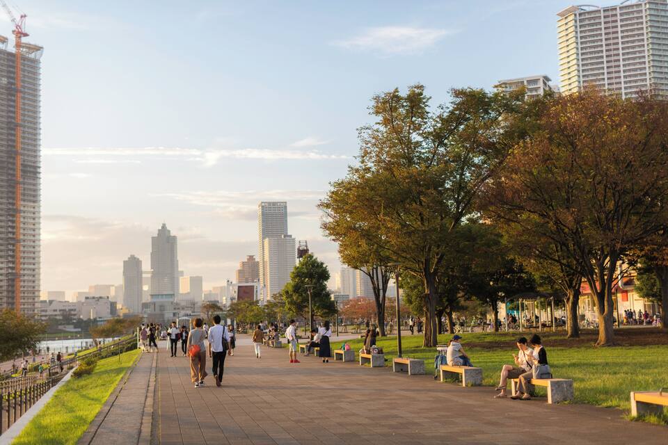 A city park with a river, benches, and tall buildings in the background.