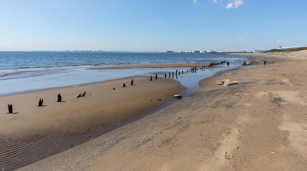 Chiba_MakuhariBeach_553248621532774560_1