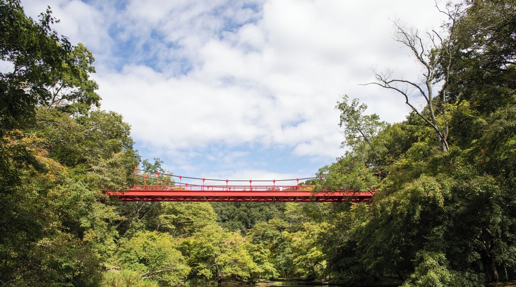 Chiba_IzumiNaturalPark_553248621532774569_2