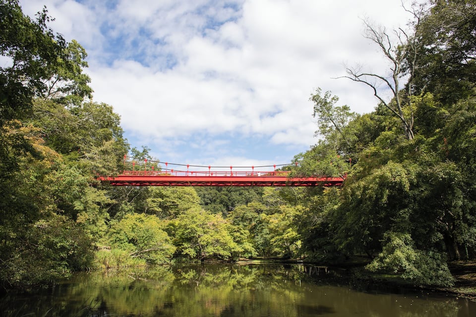 Un pont vermell sobre un riu envoltat de vegetació verda i abundant.