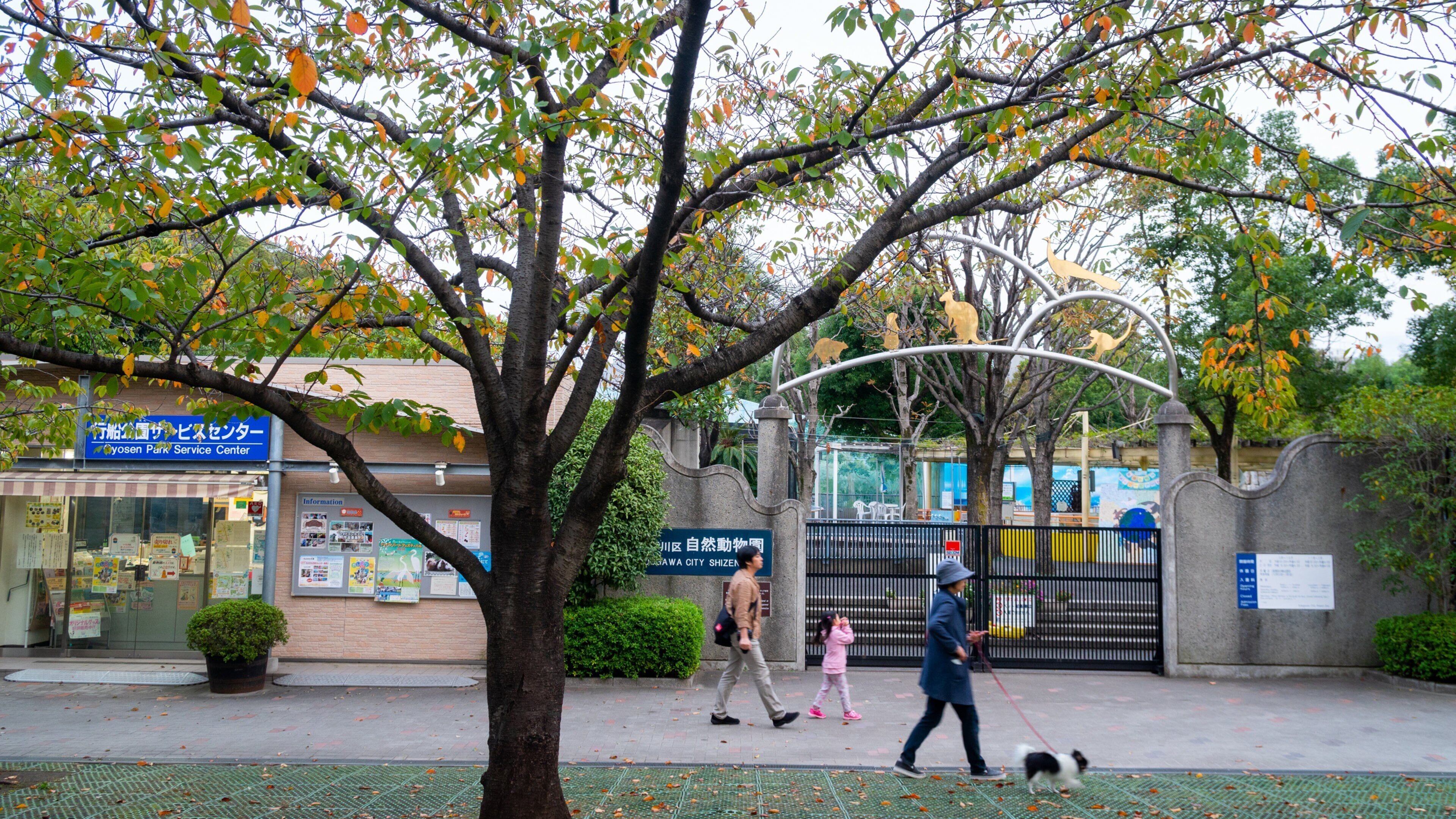 Edogawa Natural Zoo which includes street scenes