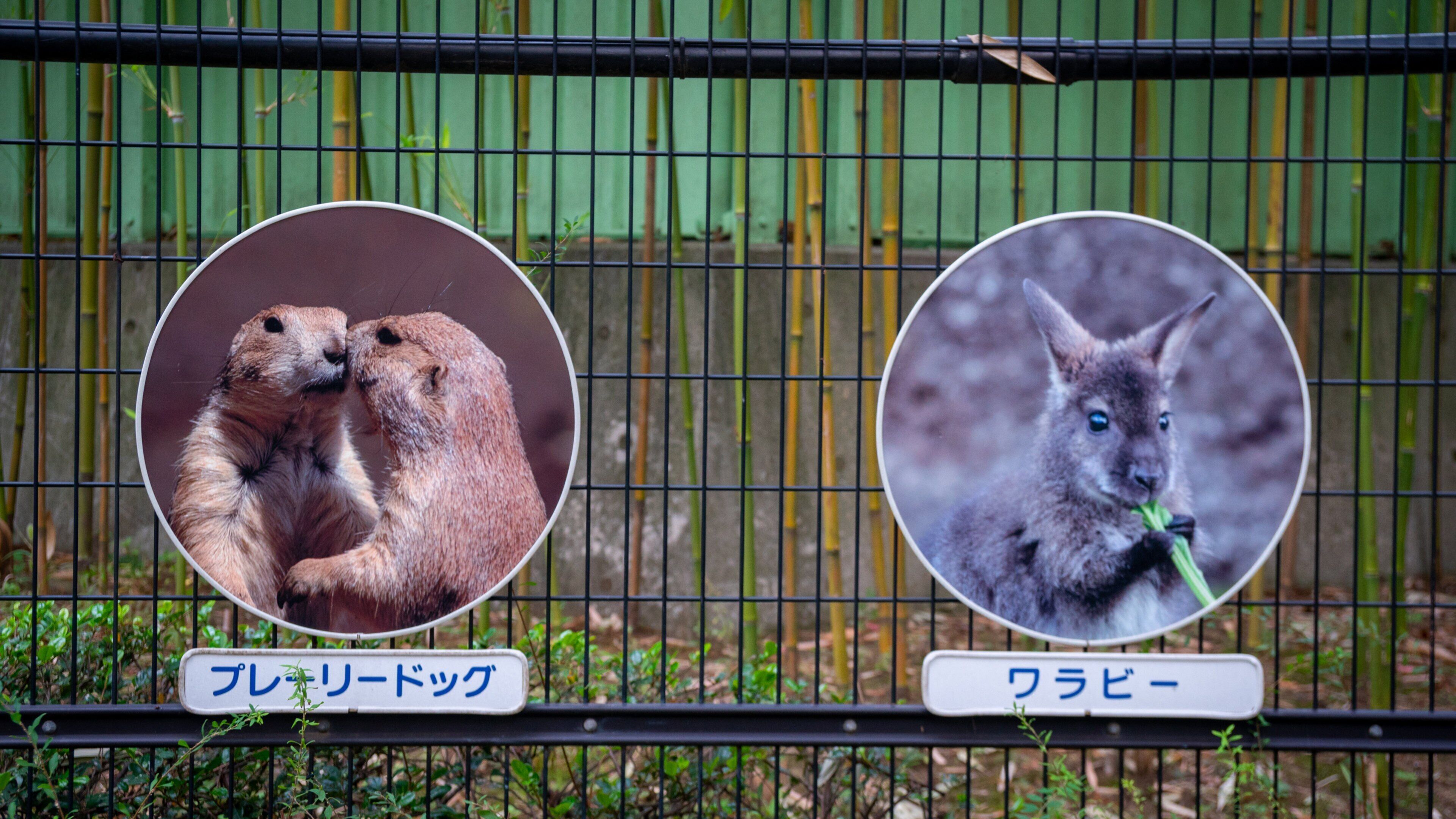 Edogawa Natural Zoo