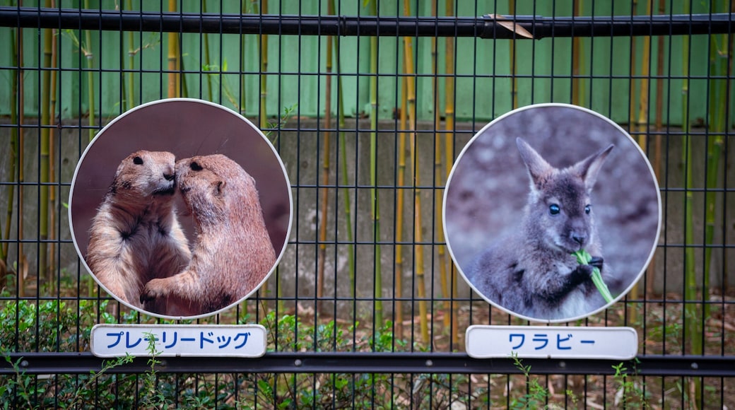 Edogawa Natural Zoo
