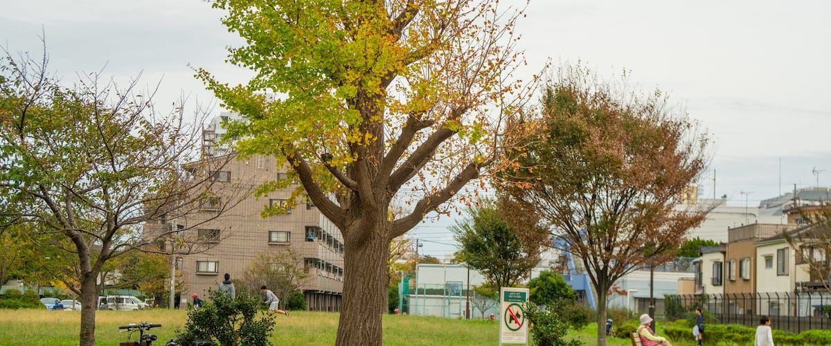 Ukita Park