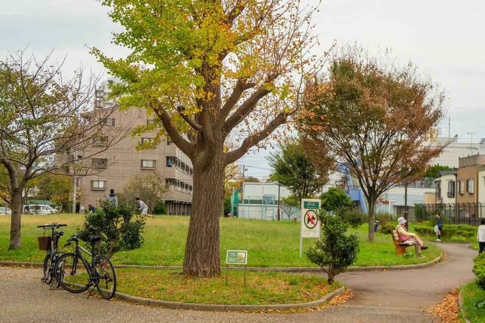 A park with a large tree, a bicycle, a bench, and a no parking sign.
