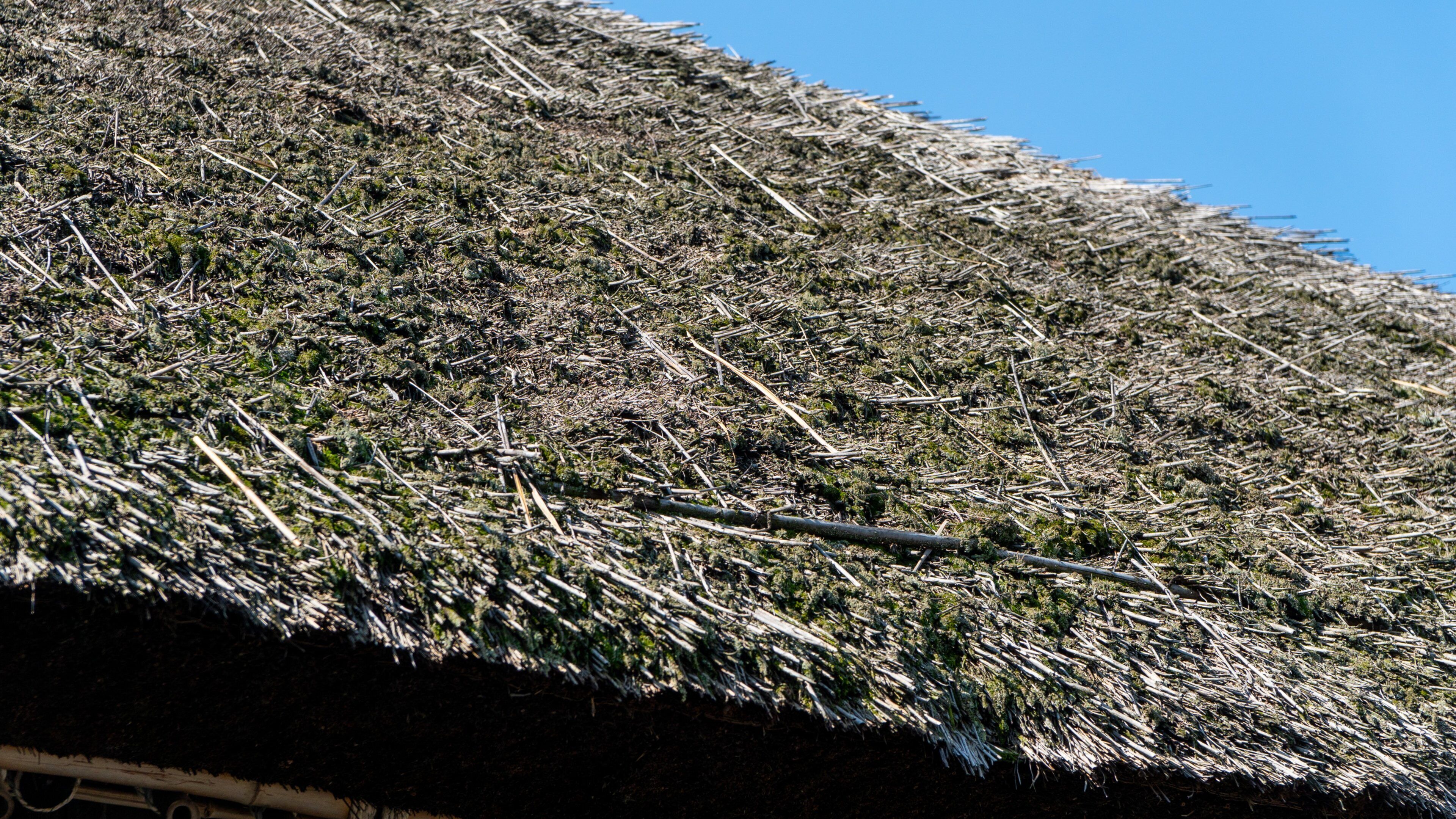 Former House of Otsuka Family