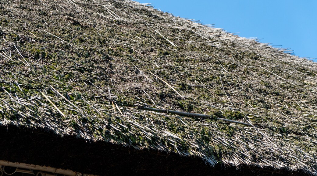 Former House of Otsuka Family