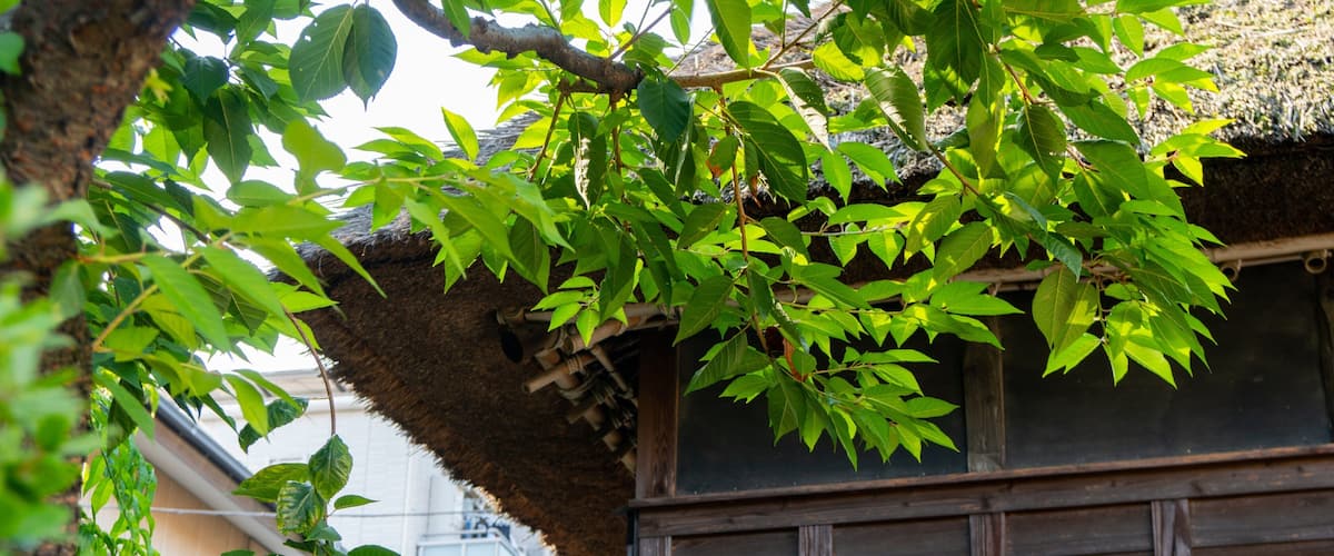 Former House of Otsuka Family