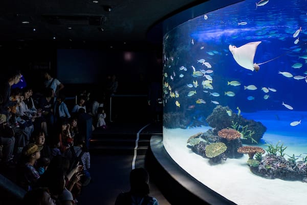 The Sunshine 60 Observatory which includes marine life and interior views