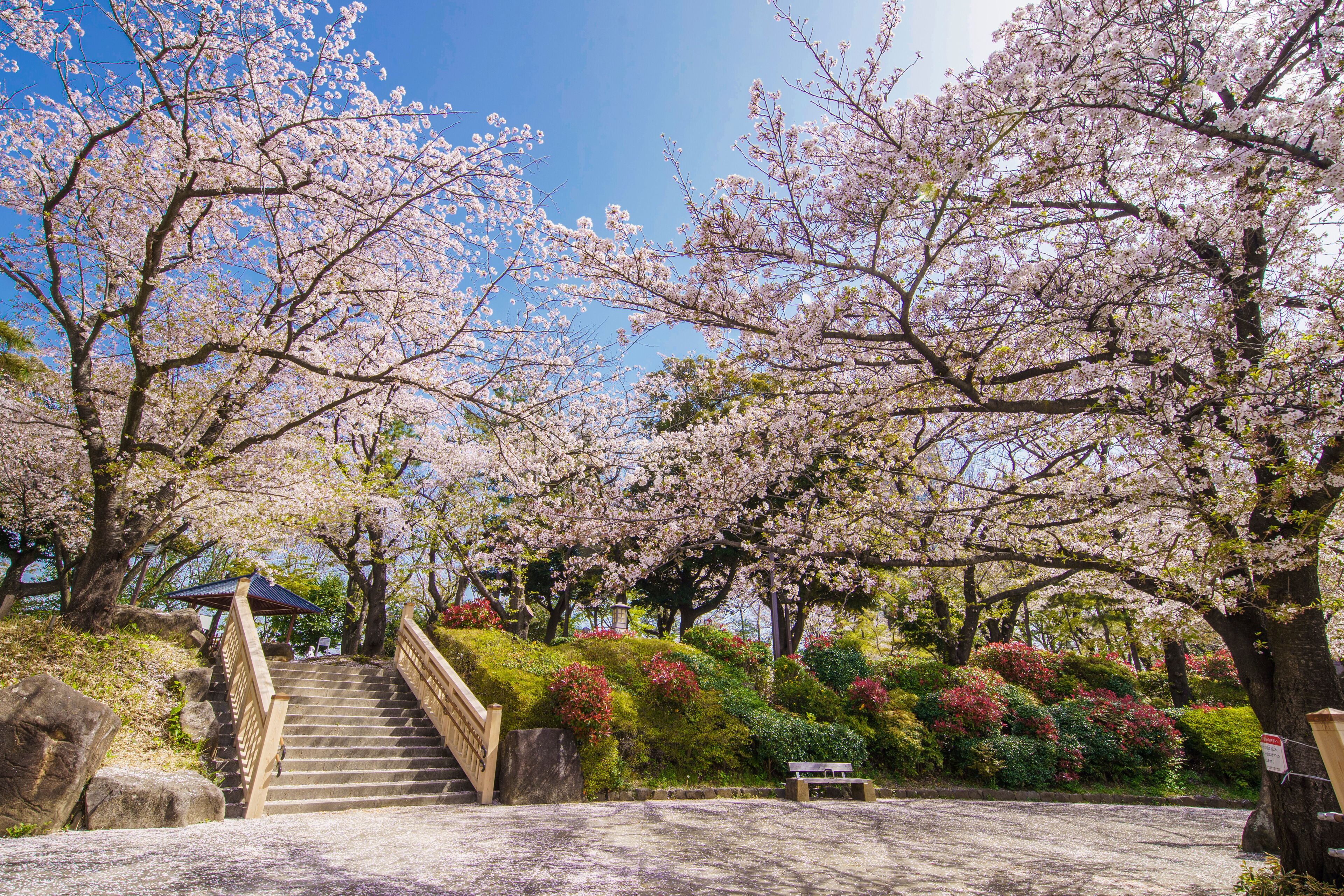 Parco Asukayama