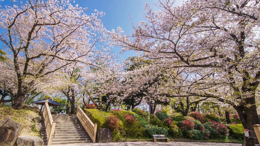 Parco Asukayama