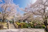 飛鳥山公園・王子