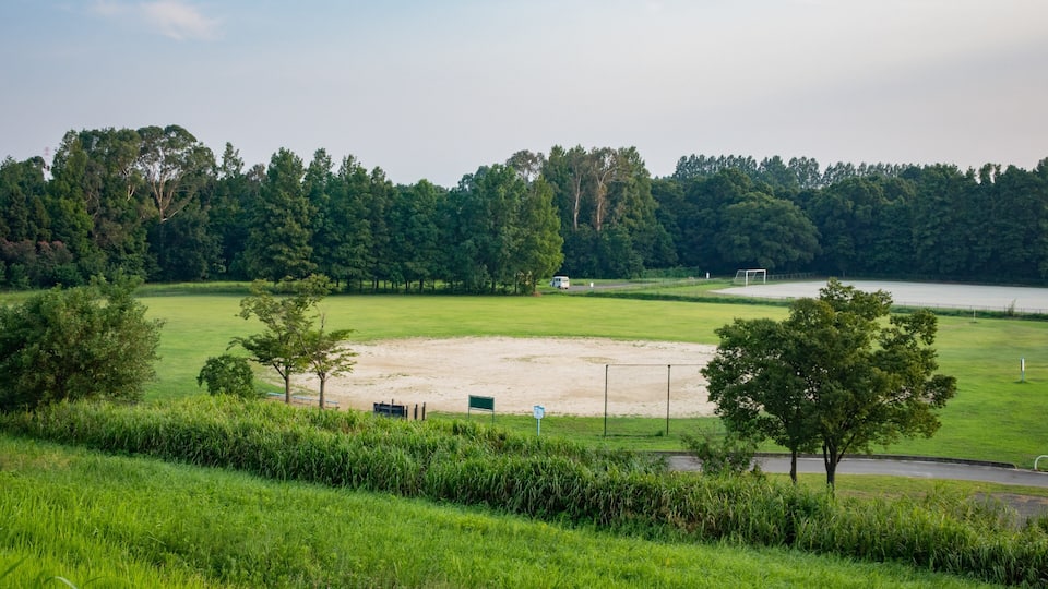 A grassy field with a soccer goal, trees, and a lake in the background.