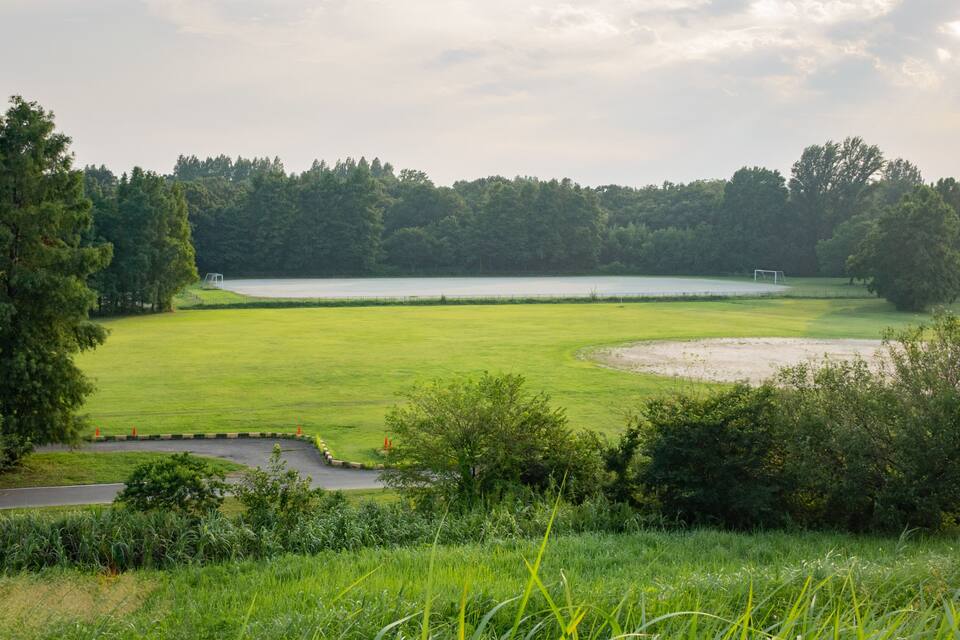 Een grasveld met een vijver en bomen.