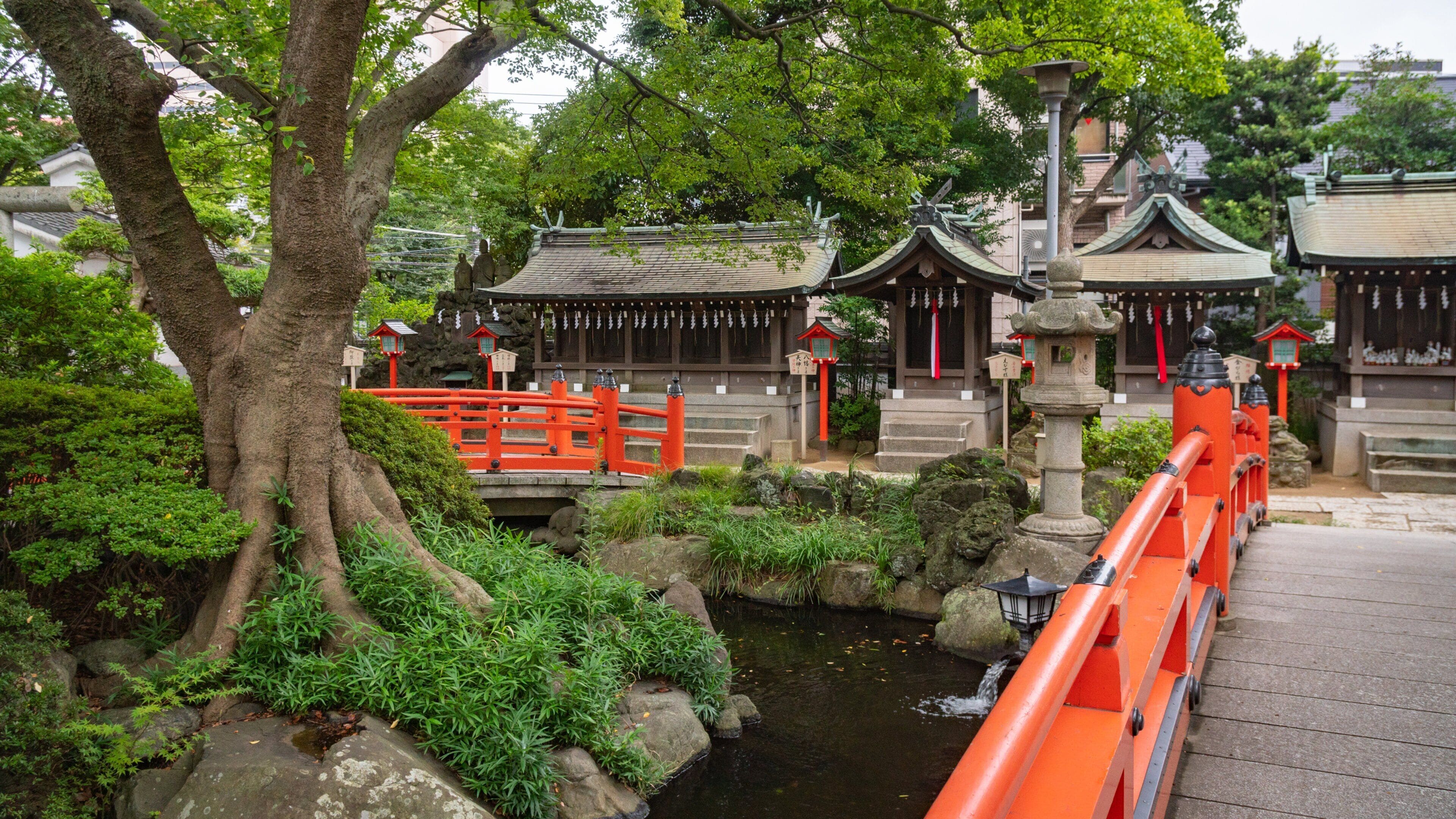 Un templo japonés tradicional con un torii rojo, un farol de piedra y un pequeño estanque.