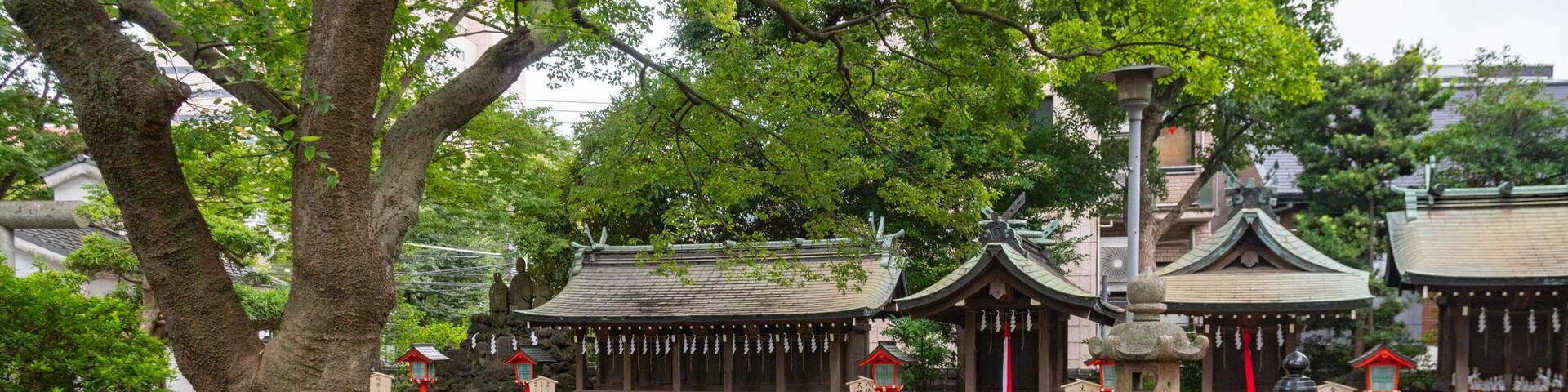 A traditional Japanese temple with a red torii gate, a stone lantern, and a small pond.