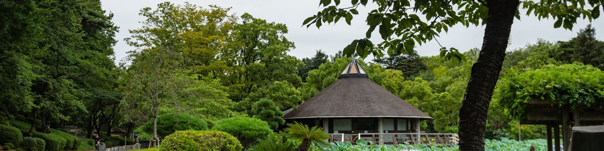 Um pavilhão japonês tradicional rodeado por vegetação exuberante e um caminho de pedra.