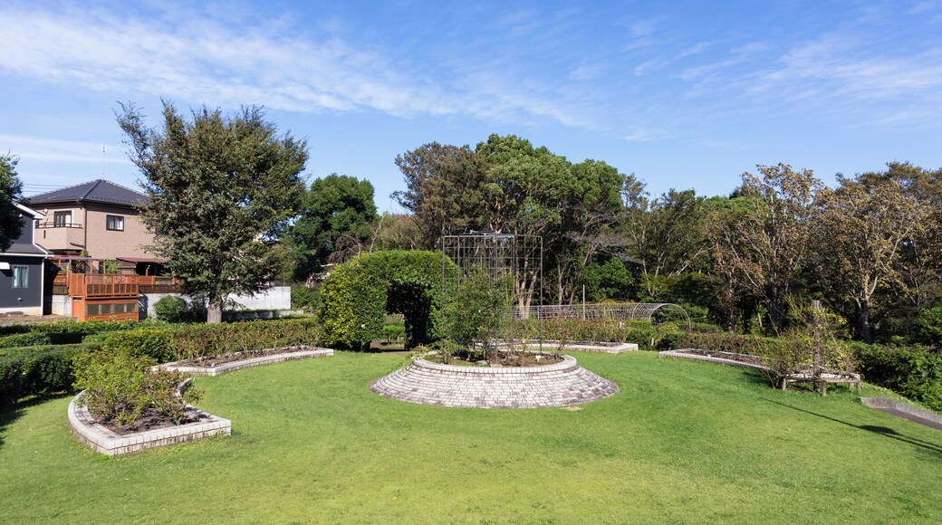 Byens Grønne Botaniske Have