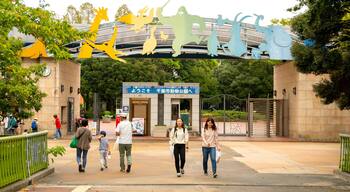 Chiba Zoological Park