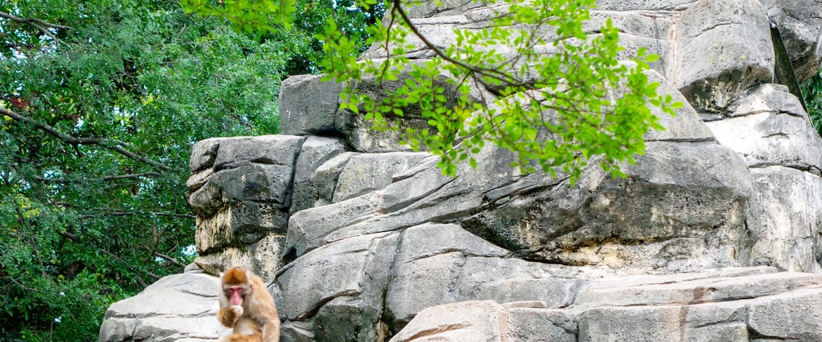 Chiba Zoological Park