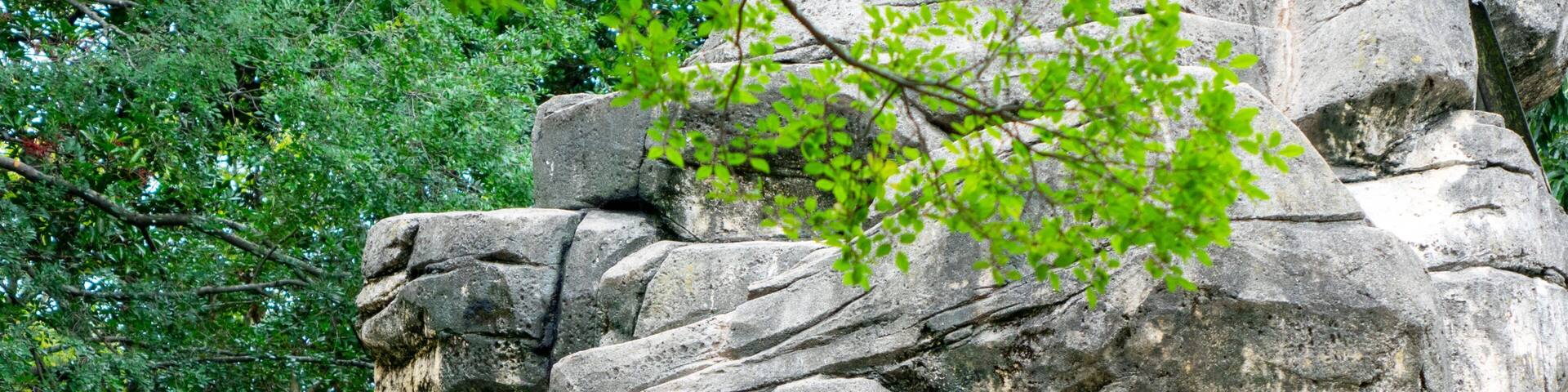 Chiba Zoological Park