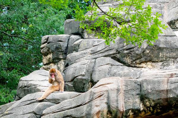 Chiba Zoological Park