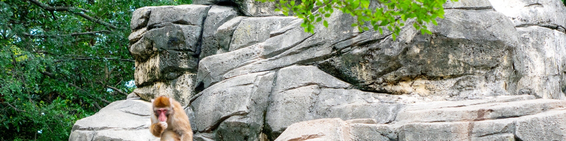 Chiba Zoological Park